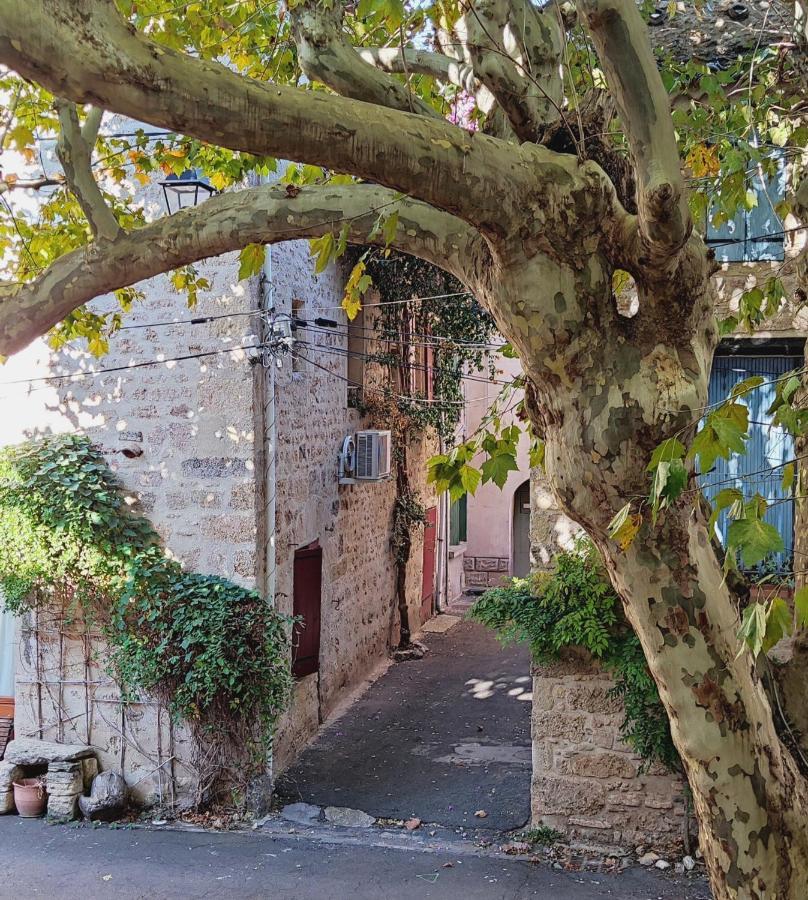 Villa Fontilha Usclas-l'Herault Exteriér fotografie