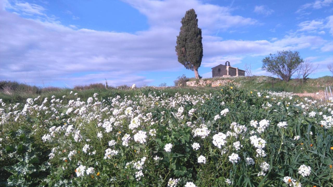 Villa Fontilha Usclas-l'Herault Exteriér fotografie